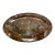 1970s Rare Stone Fossil Plate Orthoceras Sea Shell Polished Brown Ammonite For Sale