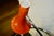 Hada Desk Lamp by Carmen Ramos Flores for Phase, 1971 For Sale - Image 4 of 9