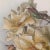 Paul De Longpre 1905 Framed Yellow Roses Lithograph Printed by the Grey Litho. Company, New York For Sale - Image 12 of 13