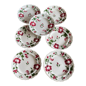 A Very Nice Set of 7 of Antique Staffordshire Early Adam’s Rose Plates, Circa 1830