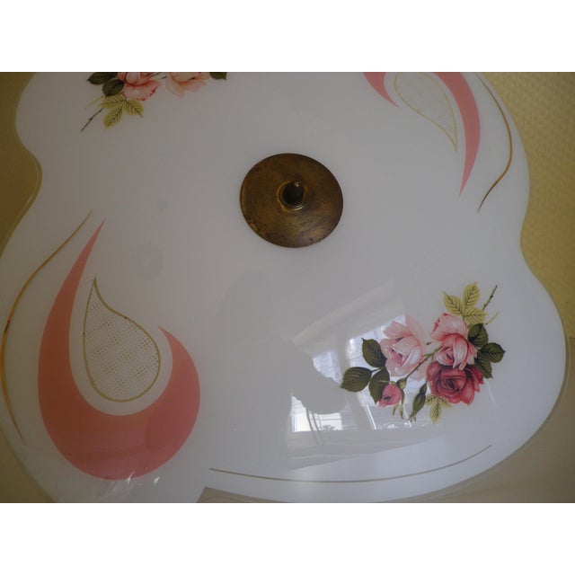 Mid-Century Rhodoid Free-Form Pendant Light, Italy, 1950s For Sale - Image 6 of 17