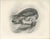 Antique Merlin Falcon with Prey Print by Lilian M. Medland, 1908 For Sale