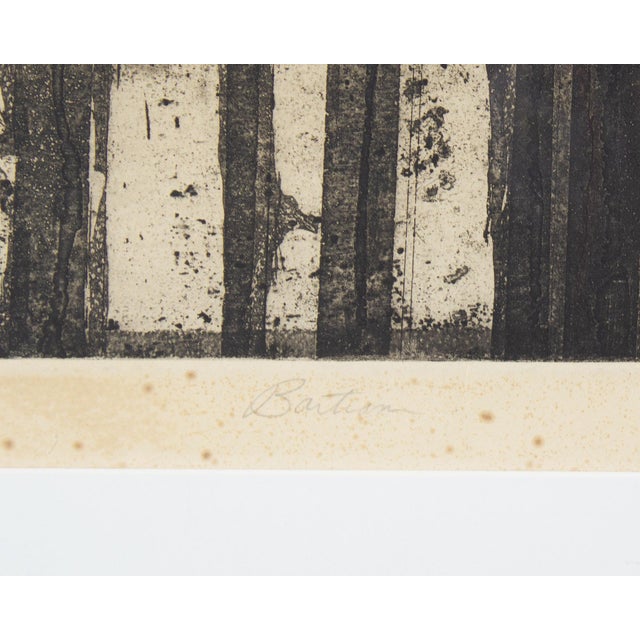 Late 20th Century “Temple” Aquatint Print Signed by Edward John Bartram For Sale - Image 5 of 9