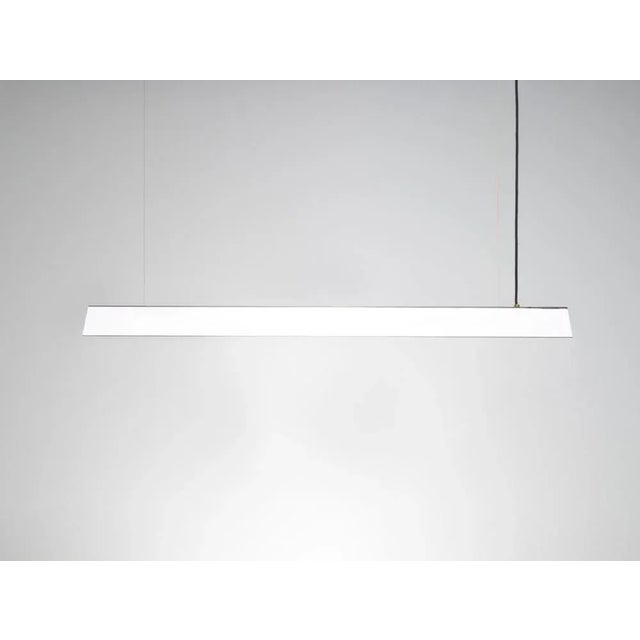 Contemporary Large Misalliance Inox Suspended Light by Lexavala For Sale - Image 3 of 5