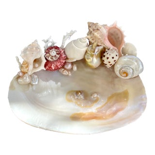 CSS Small Seashell Catchall Dish For Sale