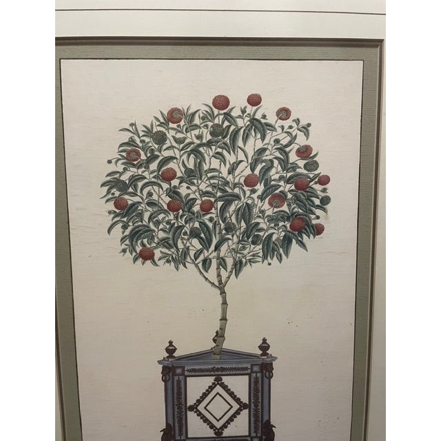 Vintage Chinoiserie Fruit Tree Botanical Prints in Faux Bamboo Frames - Pair For Sale - Image 4 of 6