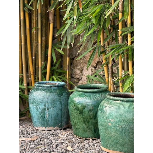 1950s Vintage Chinese Green Glazed Ceramic Soy Sauce Jar For Sale - Image 5 of 10