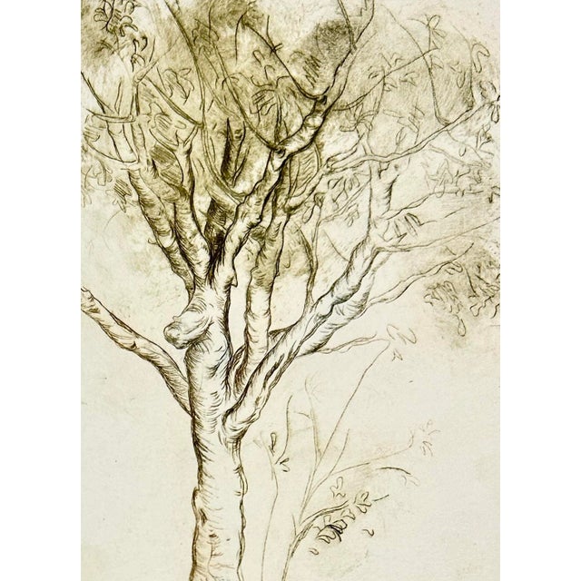 Art Deco 1980s Hand Printed “Tree Sketch” For Sale - Image 3 of 5