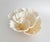 White Natural White Poca Coral Specimen For Sale - Image 8 of 8