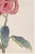 Not Yet Made - Made To Order Pink Mum by Hasegawa, Vintage Japanese Botanical Art Print, 36" X 54" For Sale - Image 5 of 9