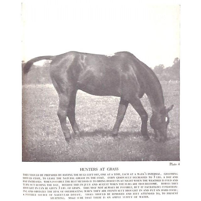 "Horsemanship Dressage & Show Jumping" 1959 Brooke, Maj. Gen. Geoffrey For Sale - Image 4 of 12