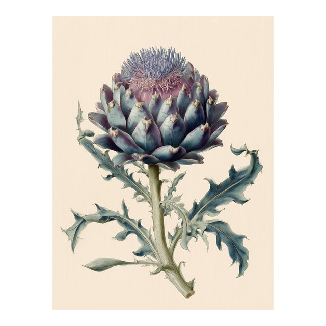 Botanical Study of Cardoon (Cynara Cardunculus) — Antique Botanical Fine Art Print For Sale
