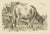A.Oberman, Farm Scene, 1809, Paper For Sale - Image 6 of 8
