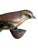 1930s Austrian Folk Art Carved Wood Chaffinch #97, 1930s For Sale - Image 5 of 6