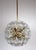 Mid-Century Modern Dandelion Hanging Lamp with Glass Flowers and Brass, 1950s For Sale - Image 3 of 18