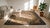 Textile 1880s Tan Camel Floral Folk Art Antique American Rug 6'10" X 10'0" Handknotted Wool Carpet For Sale - Image 7 of 9