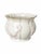 Traditional Belleek Georgian Shell Ivory and Blush Pink Parian Porcelain Cachepot With Gold Rim For Sale - Image 3 of 10