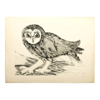 "Short-Eared Owl" Etching by Christine McGinnis, Printed by David Lynch Ca. 1965 For Sale