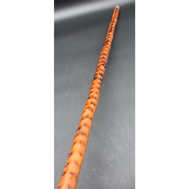 Wood Antique Victorian Brussel Sprout Stalk Walking Stick, Sterling Silver Adornment For Sale - Image 7 of 17