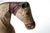 This striking decorative horse sculpture was crafted in France around 1880 and is covered in genuine horsehide, with...