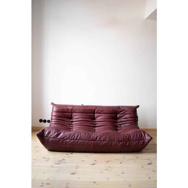 Togo Set in Burgundy Brown Leather, 1970s, Set of 5 For Sale - Image 10 of 15