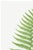 Paper Vintage Fern Art Print, Botanical Fern Reproduction, 40" X 60" For Sale - Image 7 of 10