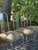 1960s Set of 3 François Arnal for Atelier a Chrome Side Chairs With Custom Animal Print Upholstery For Sale - Image 11 of 12
