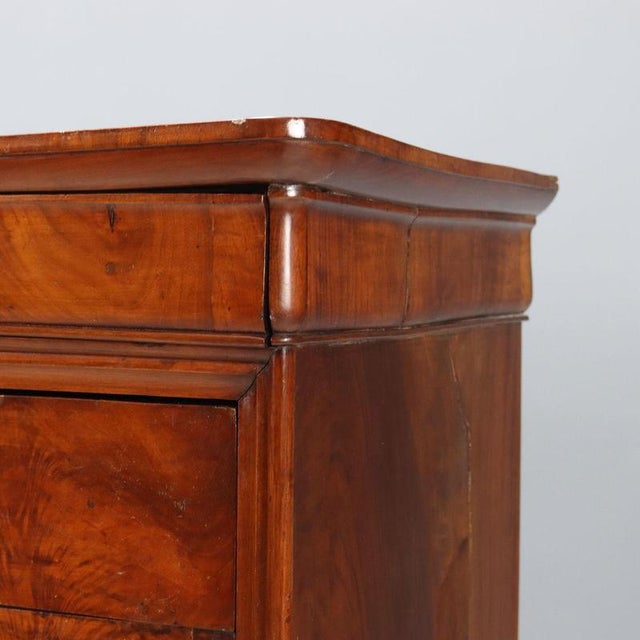 Cappuccino Chest of Drawers in Walnut For Sale - Image 4 of 11