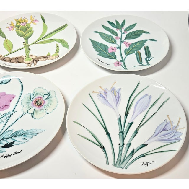 Green Asian Botanical Plates- Set of Four For Sale - Image 8 of 12