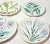 Green Asian Botanical Plates- Set of Four For Sale - Image 8 of 12