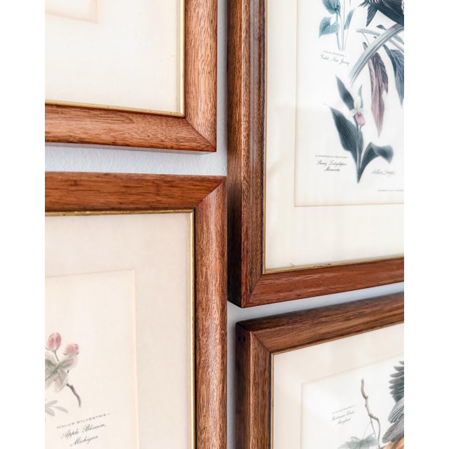 Set of 4 Vintage Wood Framed Arthur Singer Bird & Botanical Prints For Sale - Image 4 of 6