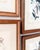 Set of 4 Vintage Wood Framed Arthur Singer Bird & Botanical Prints For Sale - Image 4 of 6