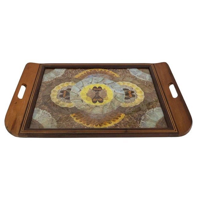 1940s 1940s Daniel Teixeira Brazilian Butterfly Tray With Wood Marquetry Detail For Sale - Image 5 of 10