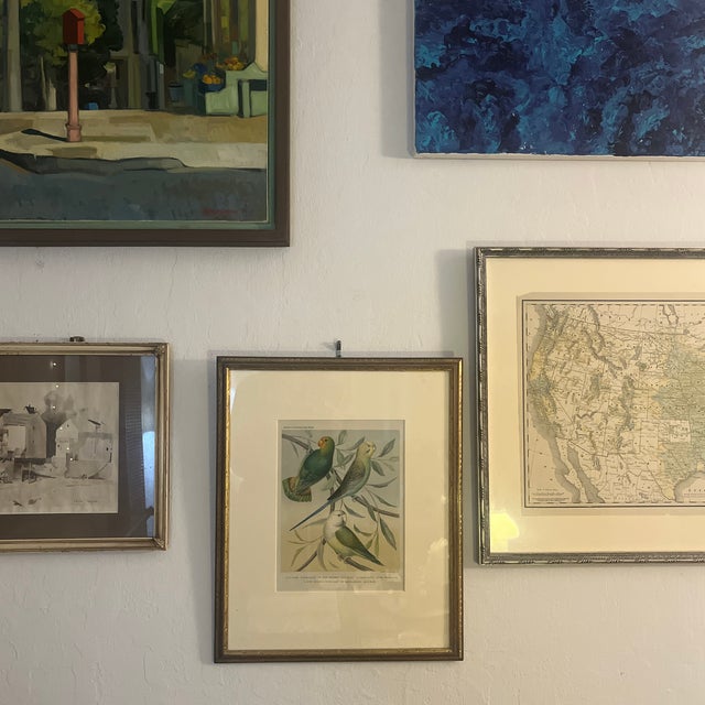 Framed “Parakeets” Bird Lithographs - a Pair by John Cassell For Sale - Image 4 of 12