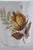 Royal Grafton Fine Bone China Yellow Rose Tea Coffee Cup Made in England 4808b For Sale - Image 10 of 12