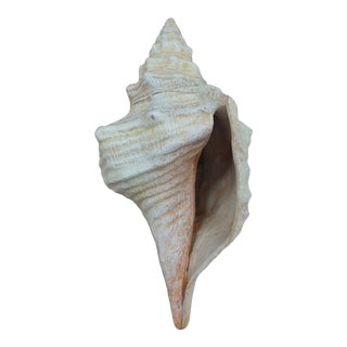 Vintage Coastal Ceramic Conch Shell For Sale