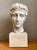 Vintage Plaster Classical Bust of Roman Warrior For Sale - Image 9 of 18