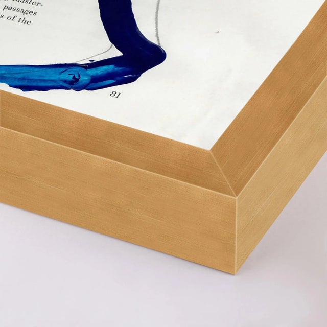 DESCRIPTION: Roman Bust by Virginia Chamlee in Gold Frame, Medium Art Print SPECIFICATIONS: Type: Framed Paper. Framed...