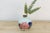 Hand-Painted Peony Motif Porcelain Vase For Sale In Los Angeles - Image 6 of 6