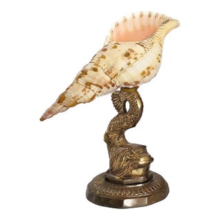 Seashell Shell Sculpture Specimen on Antique Koi Fish For Sale