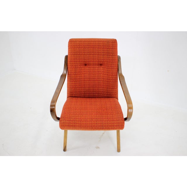 1960s Beech Armchair, Former Czechoslovakia, 1960s For Sale - Image 5 of 18