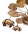 Water Lily Chandelier from Maison Jansen, 1970s For Sale - Image 10 of 12