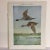 Wonderful color print of a male and female Pintail Ducks on heavy paper. Trimmed on top edge, otherwise in beautiful...