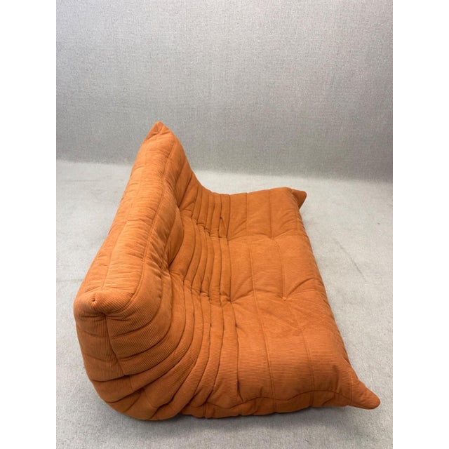 Togo Two-Seater Sofa by Michel Ducaroy for Ligne Roset, 2007 For Sale - Image 14 of 18