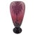 Le Verre Français "Dalias" Acid-Etched Cameo Glass Pedestal Vase by Charles Schneider, 1920s Art Deco For Sale - Image 9 of 10