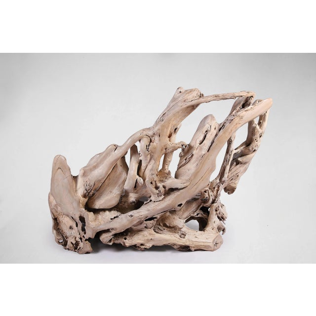 Modern Modern Free Form Teak Root Bench 29 For Sale - Image 3 of 12
