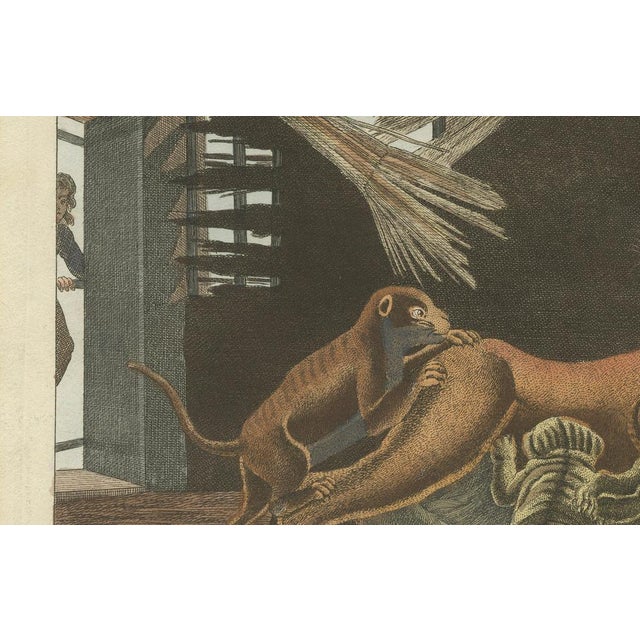 Early 19th Century Bertuch, a Lioness and Her Cubs, 1810, Engraving For Sale - Image 5 of 9