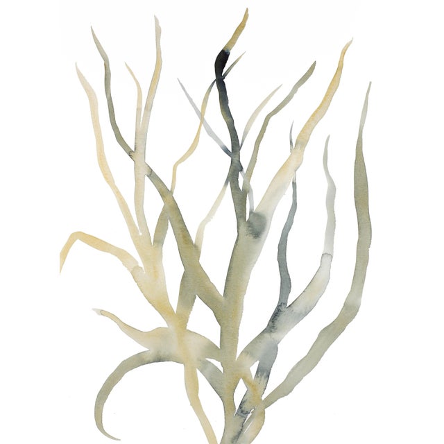 "Grass Study No. 11" Contemporary Original Watercolor Painting by Elizabeth Becker For Sale