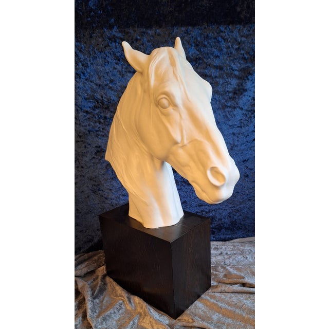 Horse Head Sculpture in White Bisque Porcelain on Black Base by Albert Hinrich Hussmann for Rosenthal, 1970s, in Very Good...