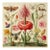 Insects and Flowers – Natural History Fine Art Print For Sale